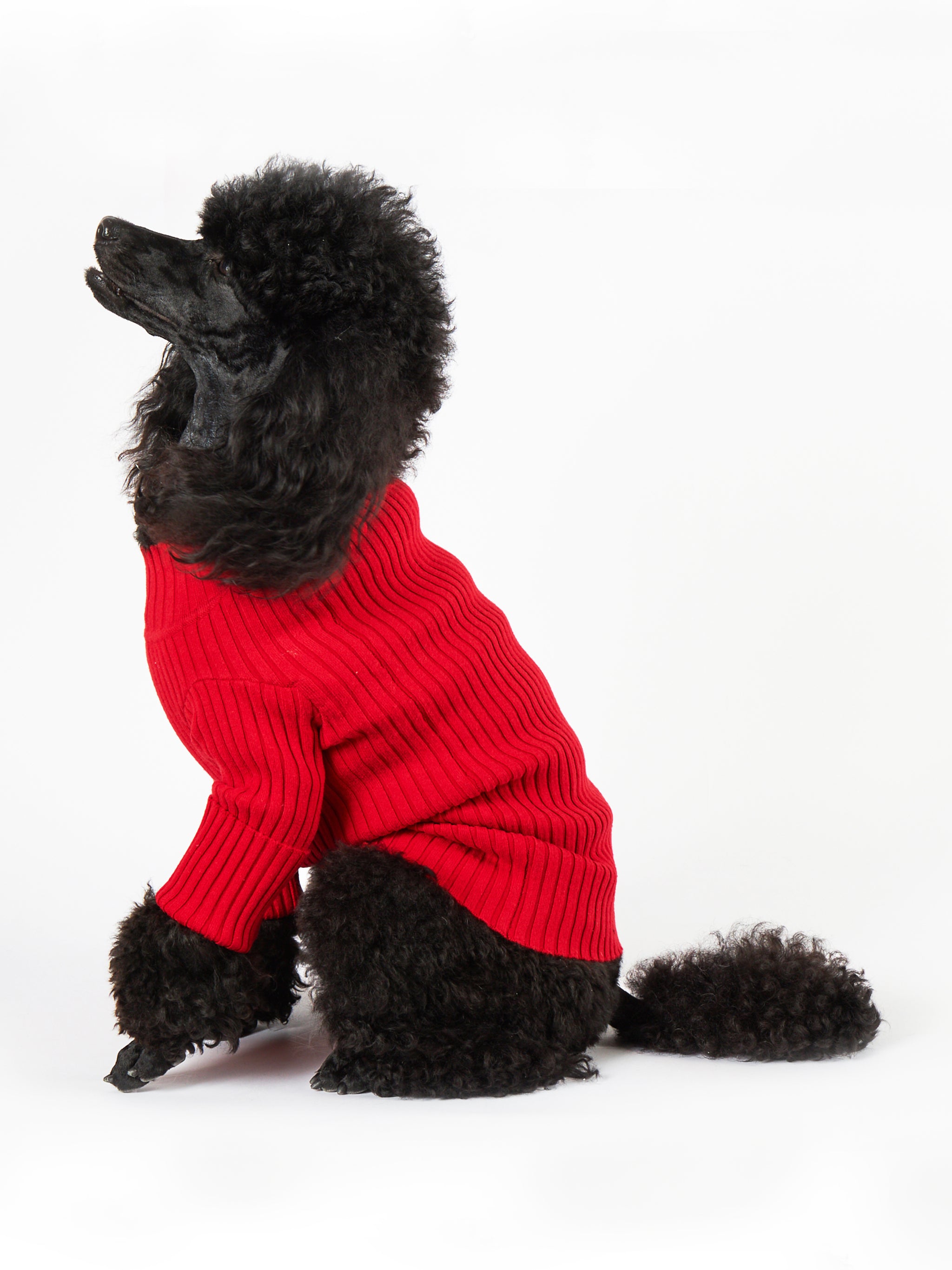 Nonna Turtleneck - Poodle Posh | Luxury Pet Goods
