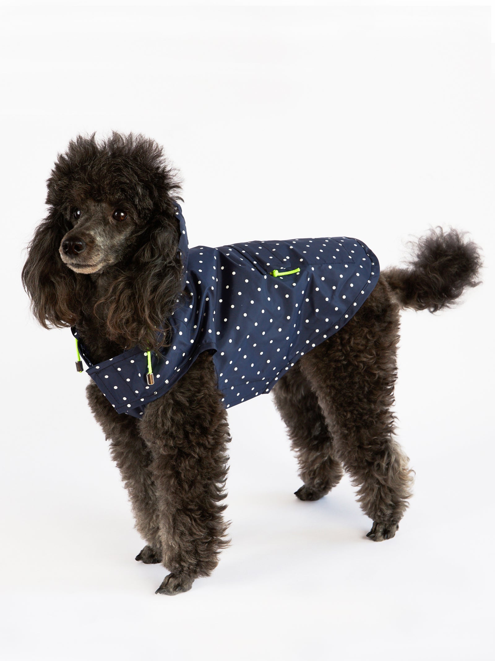 Jackets & Coats - Poodle Posh | Luxury Pet Goods