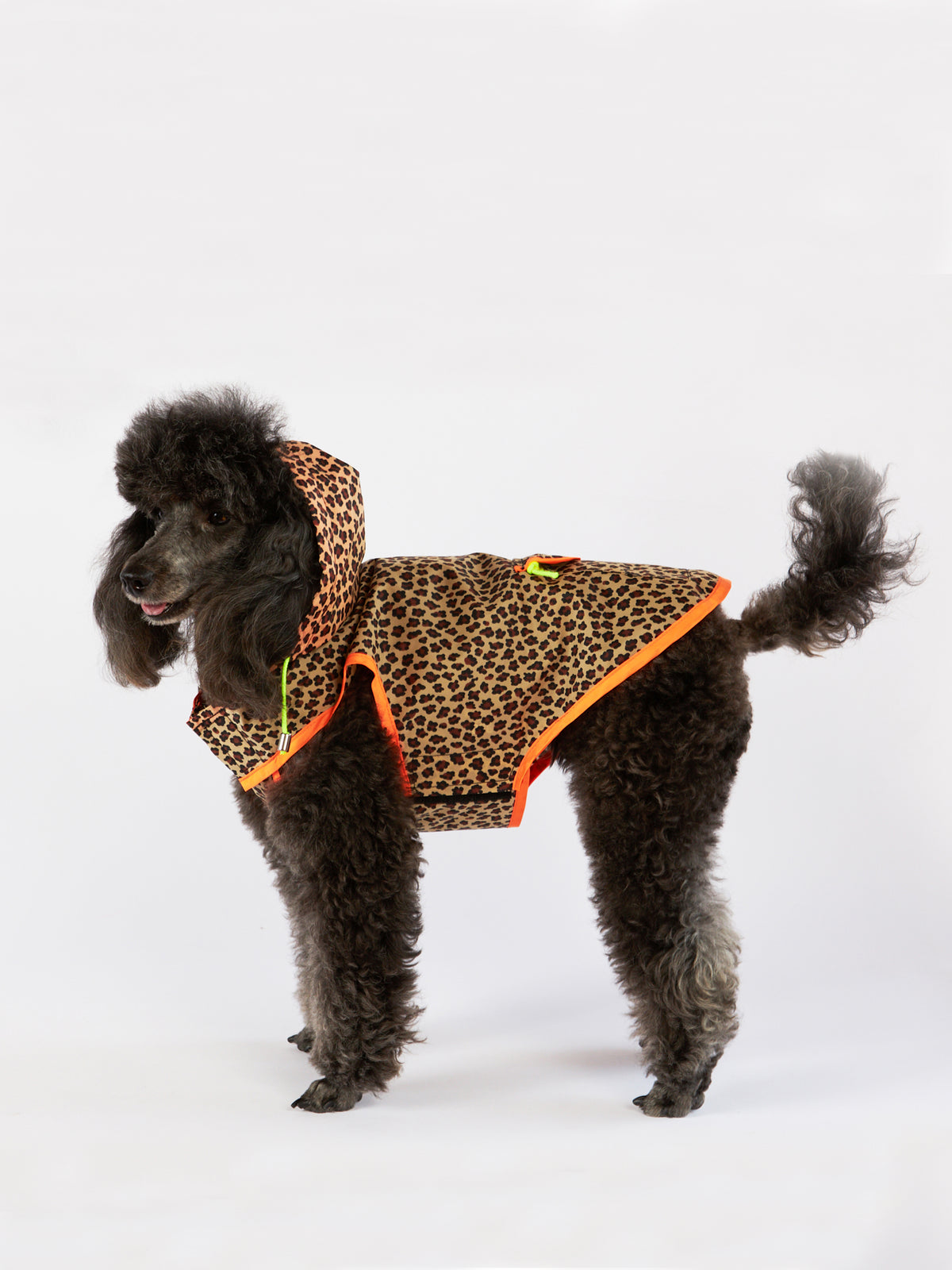 Orange Leopard Print Raincoat