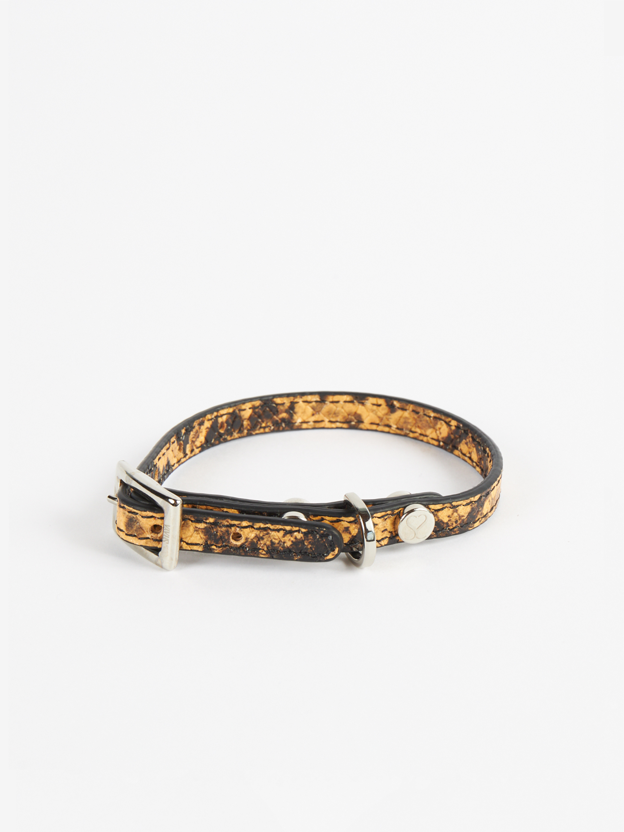 Shaya Pets The Taylor Large Collar in Embossed Yellow & Black